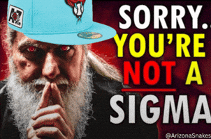 Sorry Sigma GIF
