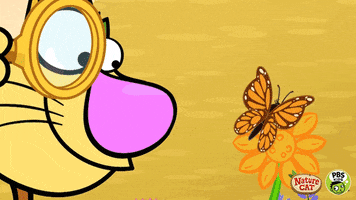 nature cat summer GIF by PBS KIDS