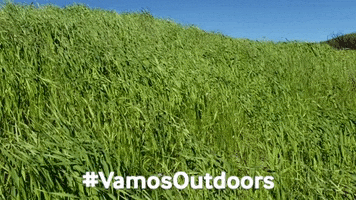 california spring GIF by Latino Outdoors