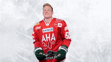 Hockey Del GIF by Augsburger Panther Eishockey GmbH