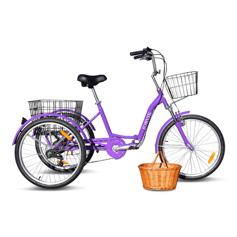 Jorvik Jorvikpurple GIF by Zeal Media