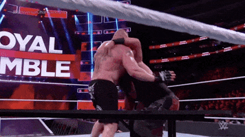 Brock Lesnar Pain GIF by WWE