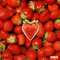 grocery-maxi-chezmaxi-9xuWAzyQrSibbpuzpG