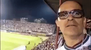 Papave GIF