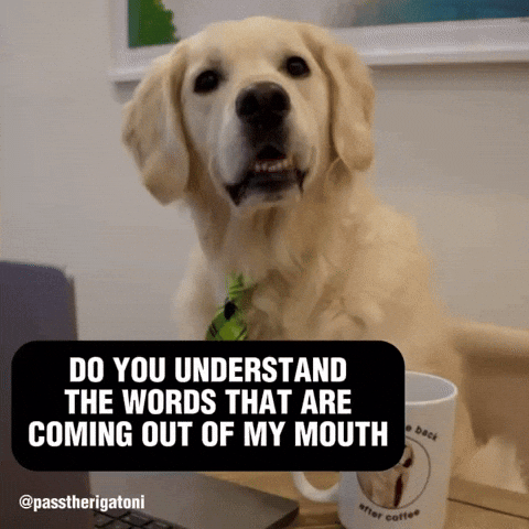 Confused Dog GIF by Rigatoni