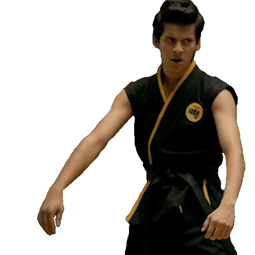 Karate Kid Gif Body Bag
