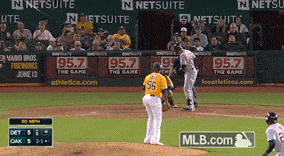 detroit tigers