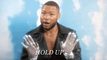 Hold On Reaction GIF by Hoshi Joell