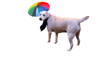 Erdemselim Sticker by Erdem Selim Çocuk Akademisi