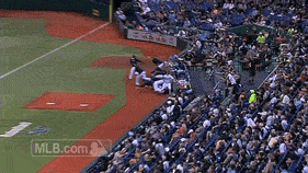 Welcome Home Rays GIF by MLB