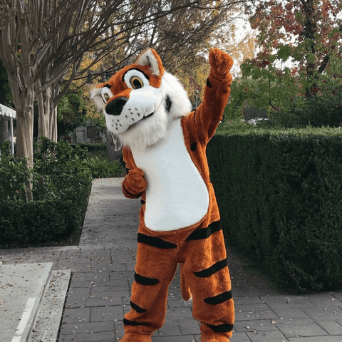 Tiger Mascots GIF by Occidental College