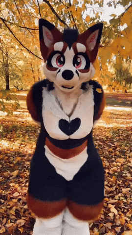Furry GIF