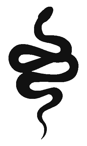 Blacksnake Sticker by Daring Creative Co.