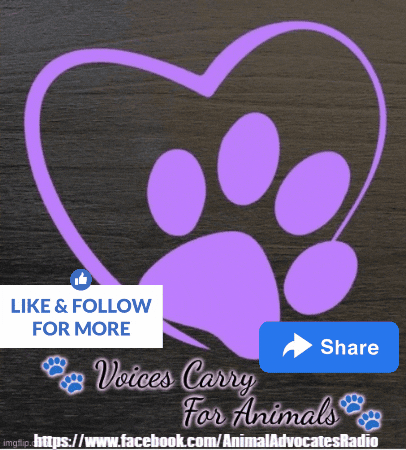 Animalwelfare Animaladvocatesradio GIF