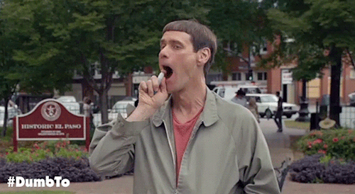 Jim Carrey Lloyd GIF by Dumb and Dumber To - Find & Share on GIPHY