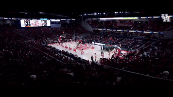 Basketball Fans GIF by Coogfans