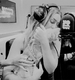 perrie edwards