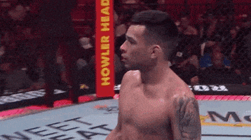 Sport Christian Rodriguez GIF by UFC