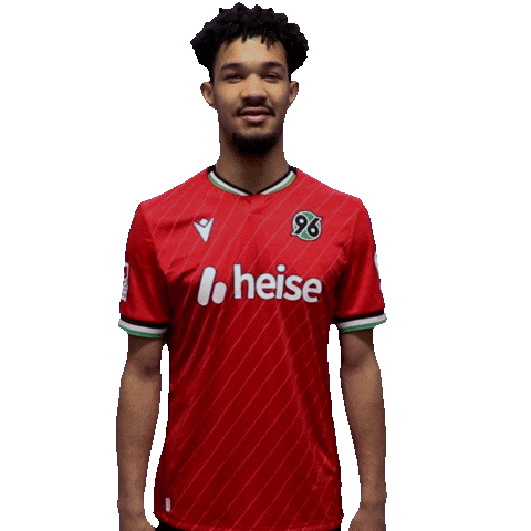 Schmidt H96 Sticker by Hannover 96