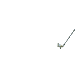 David Wright Golf Swing Sticker by WrightBalance