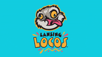 minor league baseball GIF by Lansing Lugnuts