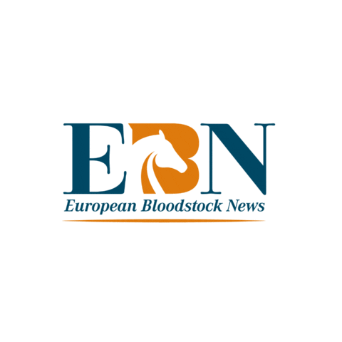 bloodstocknews Sticker
