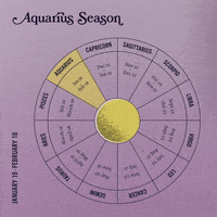 Astrology Aquarius GIF by Sanctuary