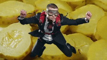 Pickles Sky Diving GIF