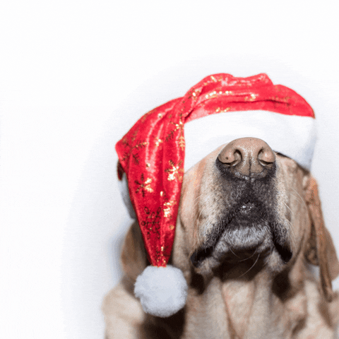 Real Estate Christmas GIF by Old Dominion Realty
