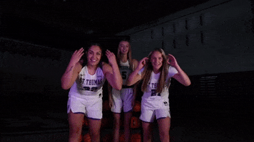 Tommiewbb GIF by Tommie Athletics