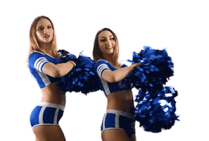 Pom Pom Girls Dance Sticker by Shines Academy