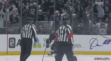 Stanley Cup Playoffs Sport GIF by NHL