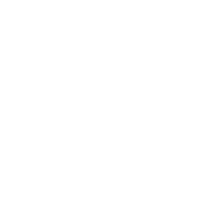 FYNEST Sticker