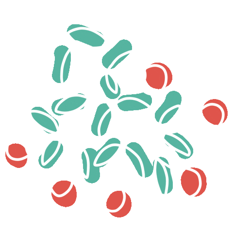 Christmas Sticker