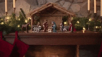 nativity scene gone wild