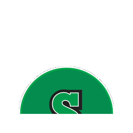 Universidad San Sebastian Sticker