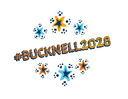 Stars Bounce Sticker by Bucknell University