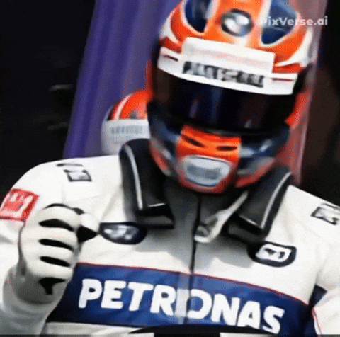 Formula 1 Team GIF