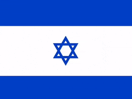 Israel Free Palestine GIF