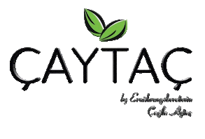 Cagla Aytac Sticker by Food & Fit