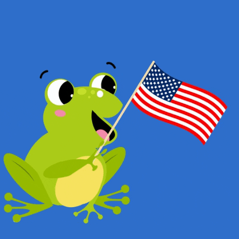 Flag Day Cartoon GIF by TOAD 8