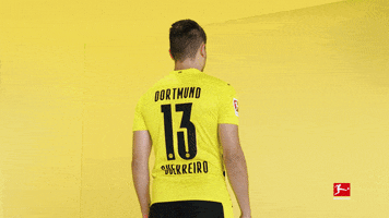 Happy Borussia Dortmund GIF by Bundesliga