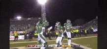 Cfl Saskatchewan GIF