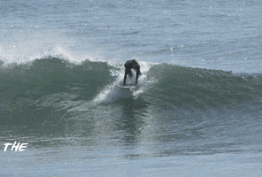 Waves Surf GIF
