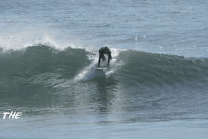 waves surf GIF