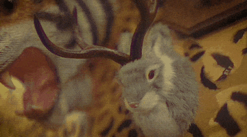 Jack Rabbit Punk GIF by Pure Noise Records