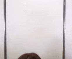 Sana Misamo GIF