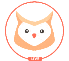 Grace Sistemas De Informacao Sticker by Síntese Jr.