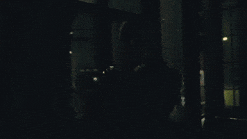 730 GIF