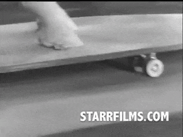 200.gif?cid=bdfa2d1forrh9pt4mox9crqvc48z